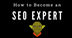 Read more about the article How to Become an SEO Expert