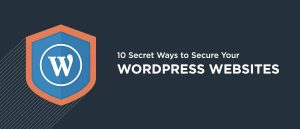 Read more about the article Ways to Secure Your WordPress Website