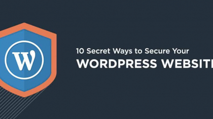 Secure Your WordPress Website
