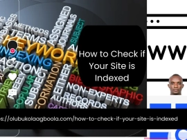 How to Check if Your Site is Indexed